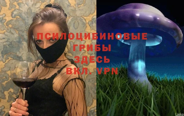 марки lsd Абаза