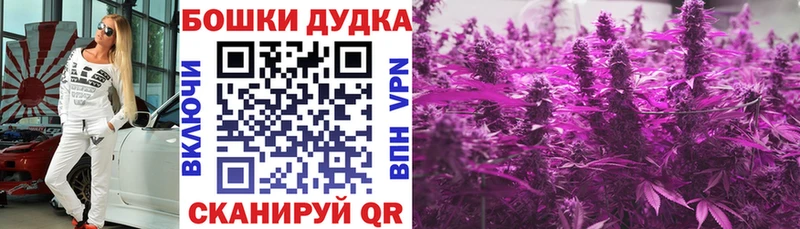Бошки Шишки сатива  Кедровый 